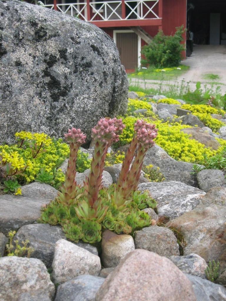 Tuukkalan Tila B&B Ristiina Bagian luar foto